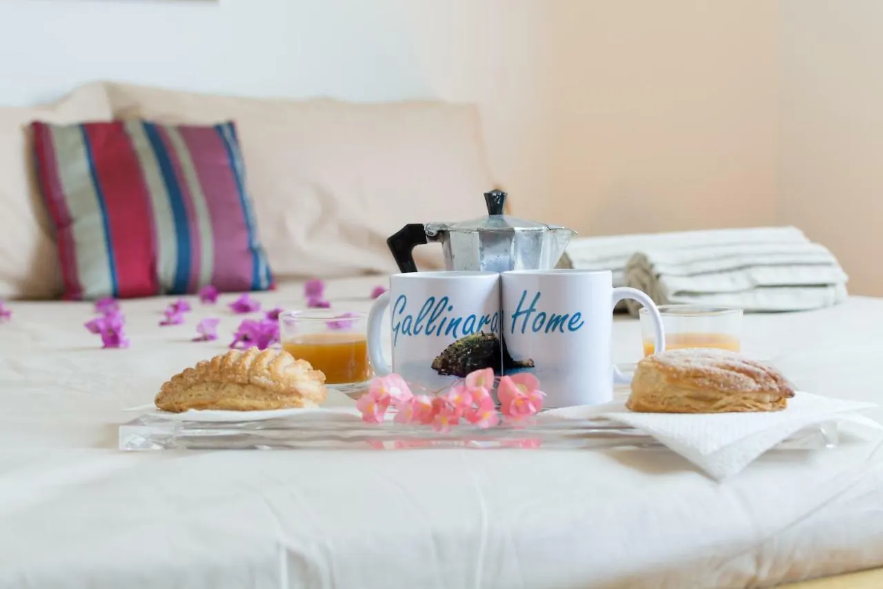 Apartment Gallinara Home Albenga